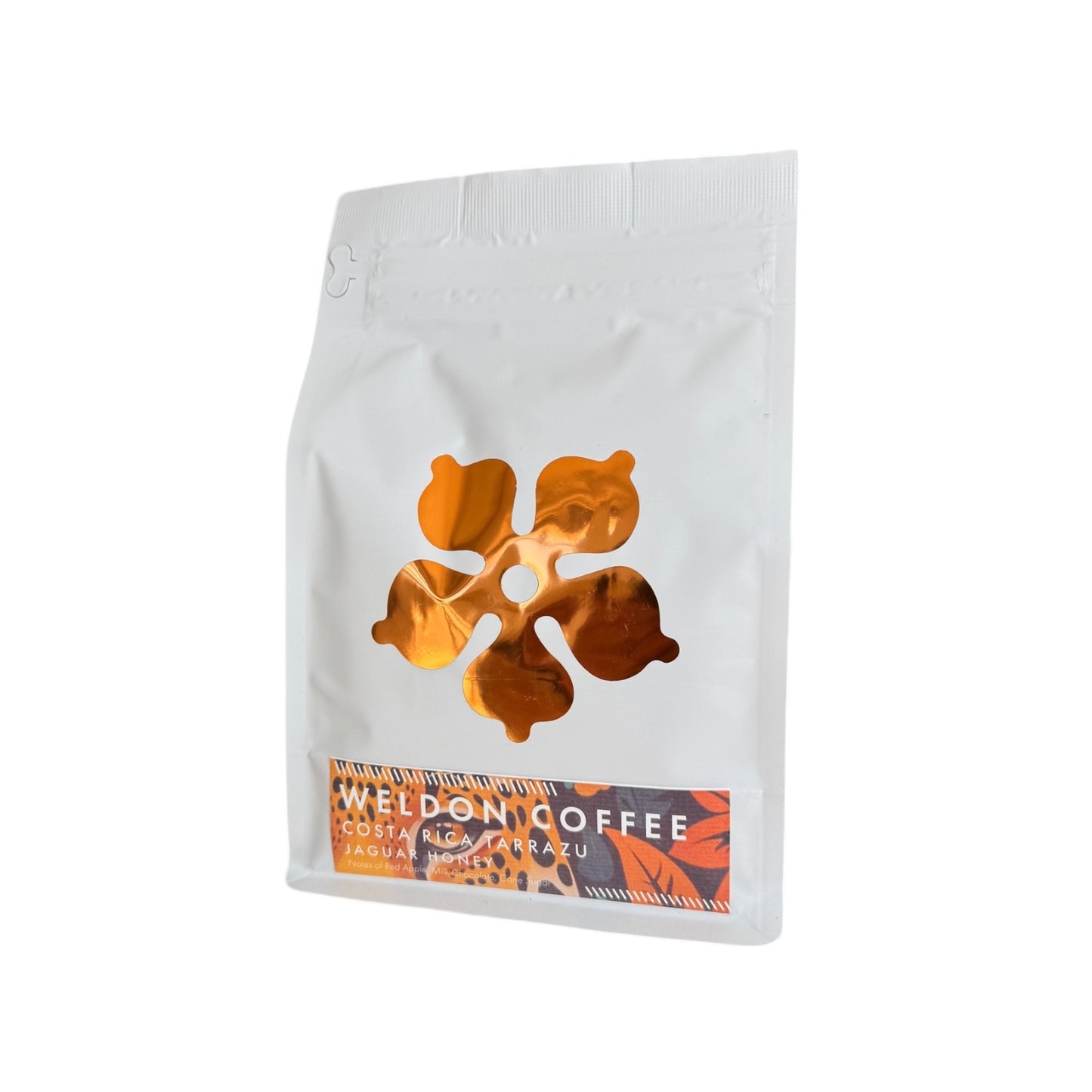 Costa Rica - Tararrazu - Jaguar Honey